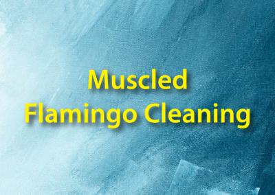 Muscled Flamingo Cleaning
